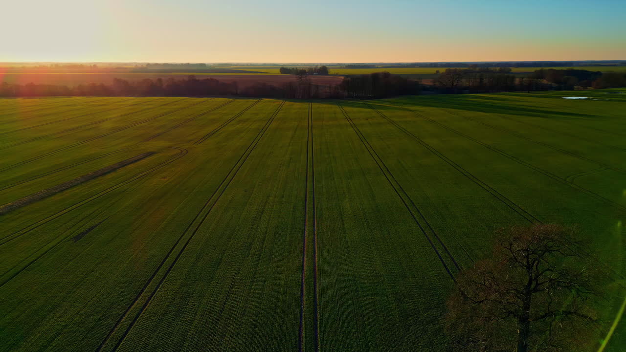 luftaufnahme bei sonnenuntergang von landwirtschaftlichen feldern auf dem land, minimalistische landschaft mit drohne