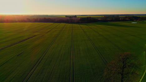 Vista-Aérea-Del-Atardecer-De-Tierras-Agrícolas-En-El-Paisaje-Minimalista-De-Drones-Rurales