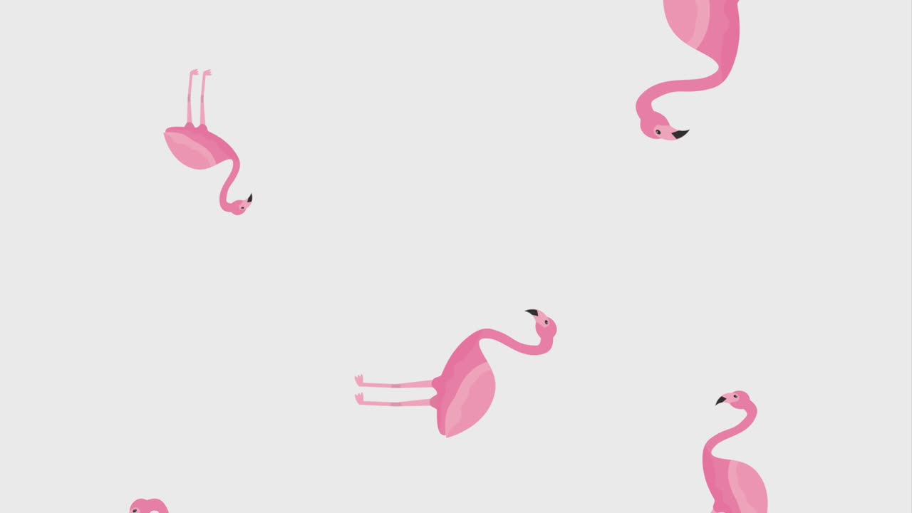 여름 열대 템플릿