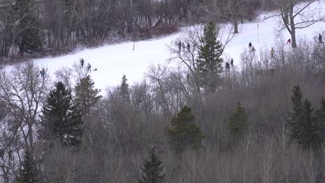 diagonal-zoomed-in-silhouettes-of-girlfriends-family-parental-couple-hauling-sled-with-child-while-skating-around-a-massive-outdoor-oval-surrounded-by-a-grey-green-dense-forest-in-the-winter-cold