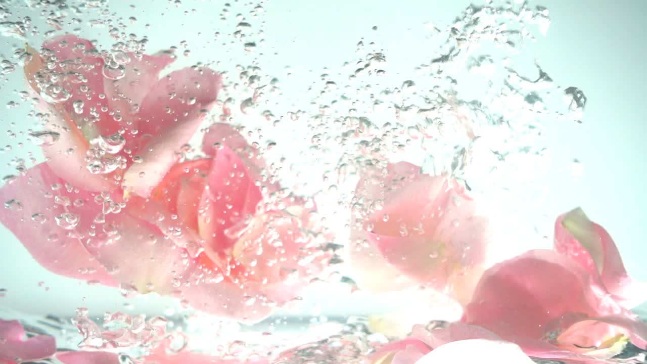 Petali di rose cadono nell'acqua. Sfondo. Movimento rallentato.
