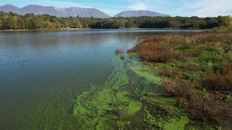 polluted waters along the shores of tirana artificial lake caused by urban waste discharges
