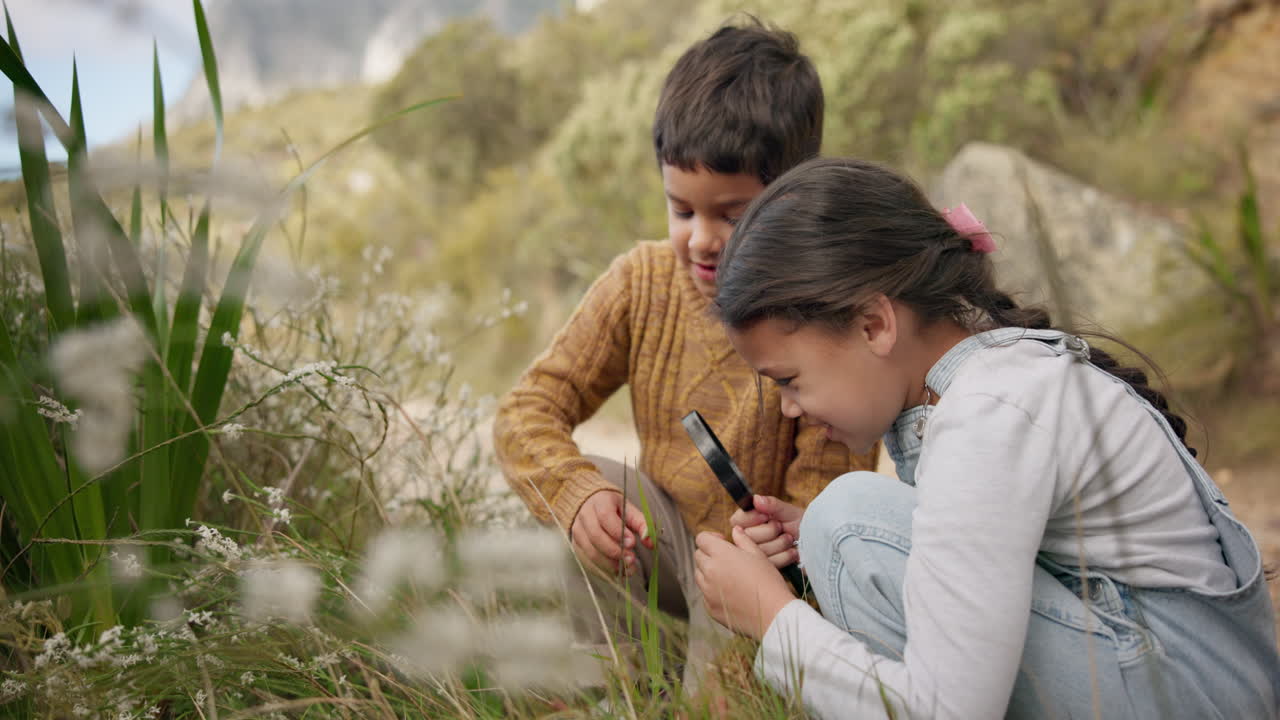 aventura, naturaleza y exploración de los niños