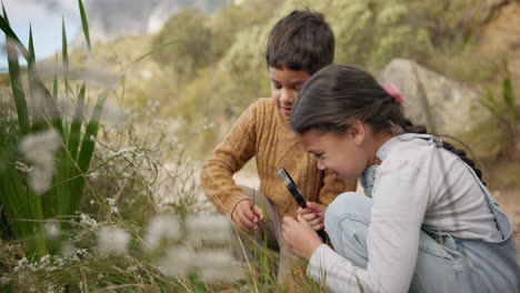 adventure, nature and children exploring