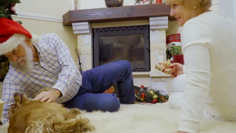 una pareja adulta juega con su perro cerca del árbol de navidad.