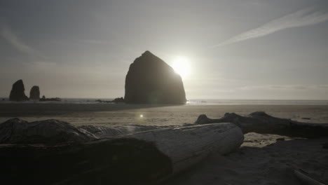 panning medium shot of a wooden log with haystack rock in background, sunny day, cannon beach, oregon