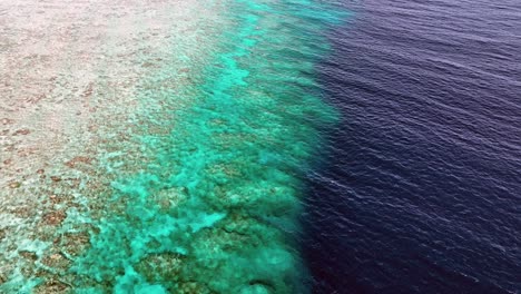 Biodiverse-Coral-Reef-In-The-Blue-Sea