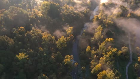 river in forest with mist at golden hour in morning, aerial drone bird zenithal view, hill and mountain in background, tuscany, italy, europe