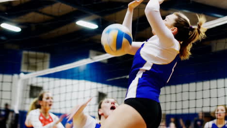 dynamic action shots from a women's volleyball game