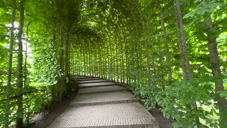 alnwick garden botanical tunnel pathway