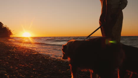 Eine-Junge-Frau-Geht-Mit-Einem-Hund-Am-Ufer-Des-Sees-Ontario-Bei-Sonnenuntergang-Windiges-Wetter-Schöner-Sonnenuntergang