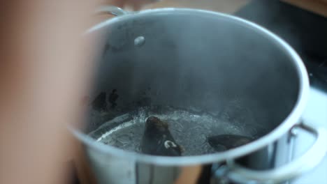person putting mussels in a boiling water pot to cook them