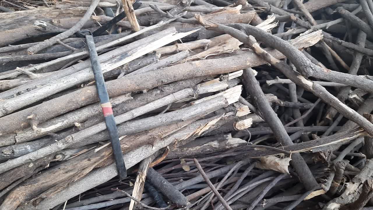 Panning shot with tree branches cut into pieces and put in a heap. Seasoned firewood,Bunch Tree Trunks Background, Outdoors. Shot in Motion