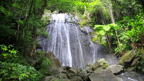 una majestuosa cascada en la selva de el yunque en puerto rico