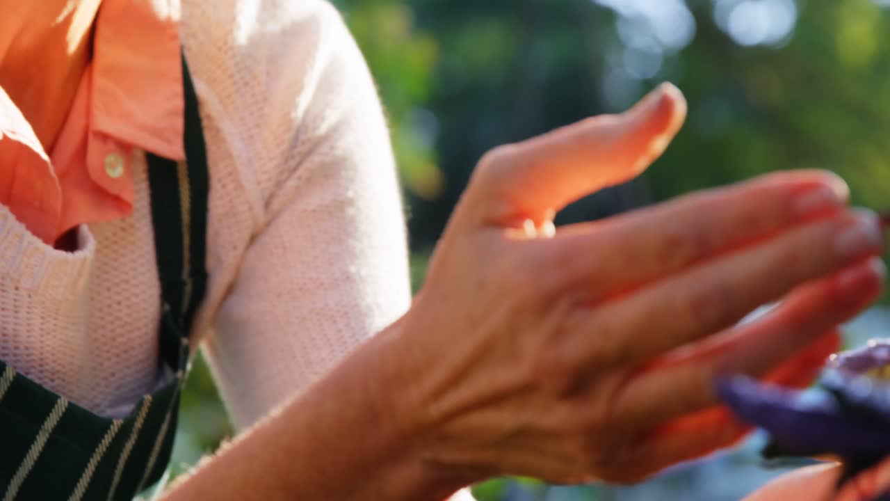 성숙한 여성이 식물을 확인합니다.