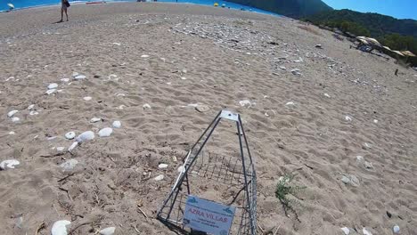 Turtle-nest-at-Olympus-beach-in-Antalya-region,-Turkey