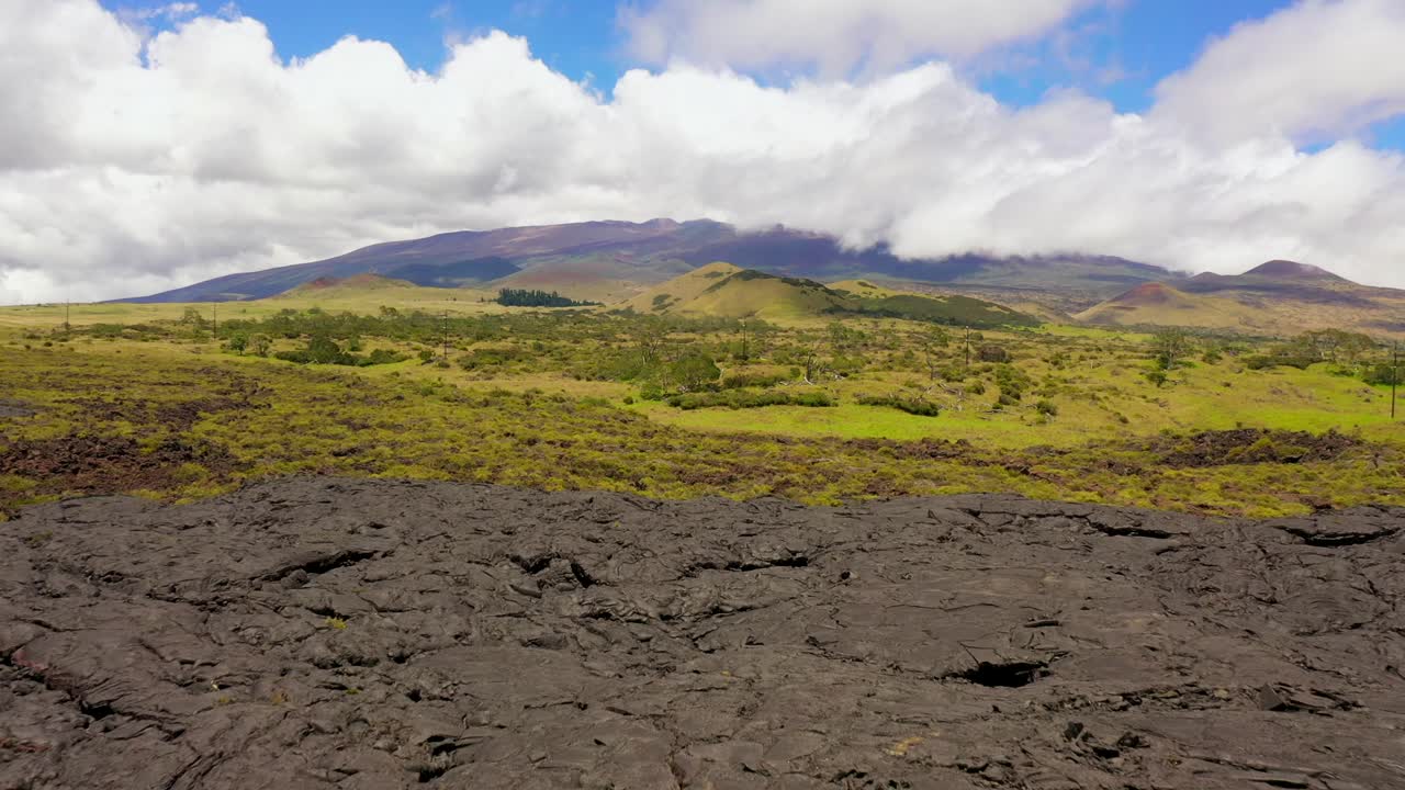 Drone Shot of Flying Backwards Over Vegetation and Solidified Lava on the Slopes of Mauna Kea Volcano - Big Island Hawaii
