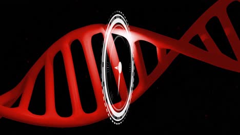 animation of clock moving over dna strand on black background