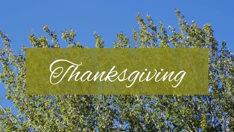 animation of thanksgiving text on green banner over trees