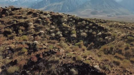 Drone-Aerial-View-on-Owens-Valley-and-Alabama-Hills,-California-USA