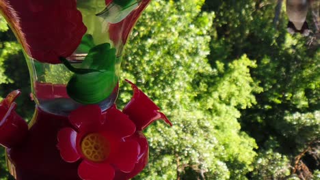 two tiny humming birds with green feathers hover around a bird feeder in slow-motion seeing the back of one and both eventually flying away