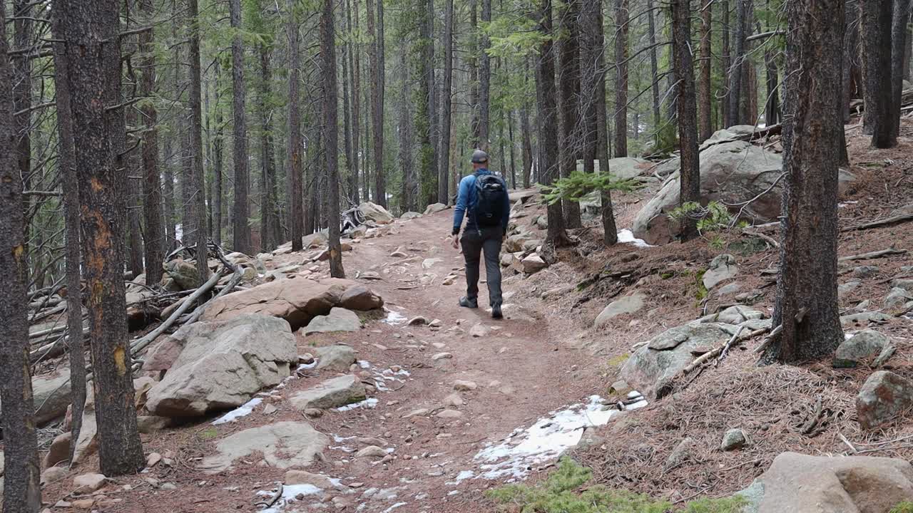 A lone male hiker walking up a remote rocky trail in a pine forest. Filmed in Staunton State Park during the spring.