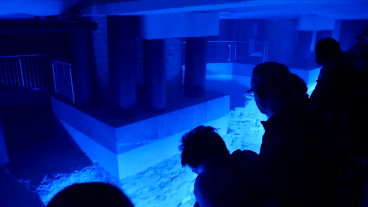 역사적인 건물에서 파란색 조명을 보는 사람들의 머리의 백라이팅