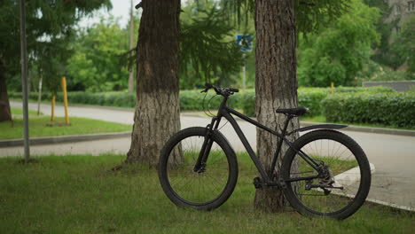 black bicycle parked near trees in peaceful park setting, showcasing natural surroundings and lush greenery with paved road in background, ideal for outdoor