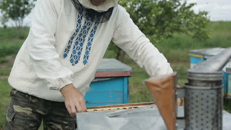 human examine a hive of bees. beekeeper is working with bees and beehives on the apiary