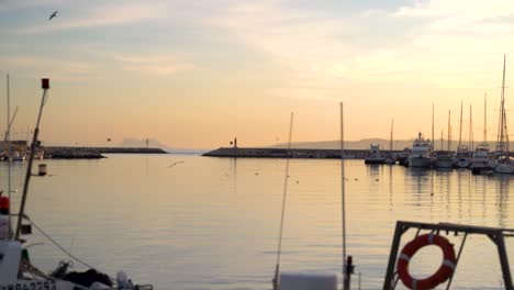 Seagulls-flying-in-slow-motion-in-Sunset-harbor-silhouette