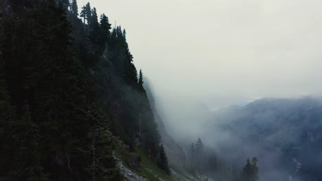 Drone-flies-along-sloping-cliff-with-PNW-forested-alpine-trees-growing-between-rocks