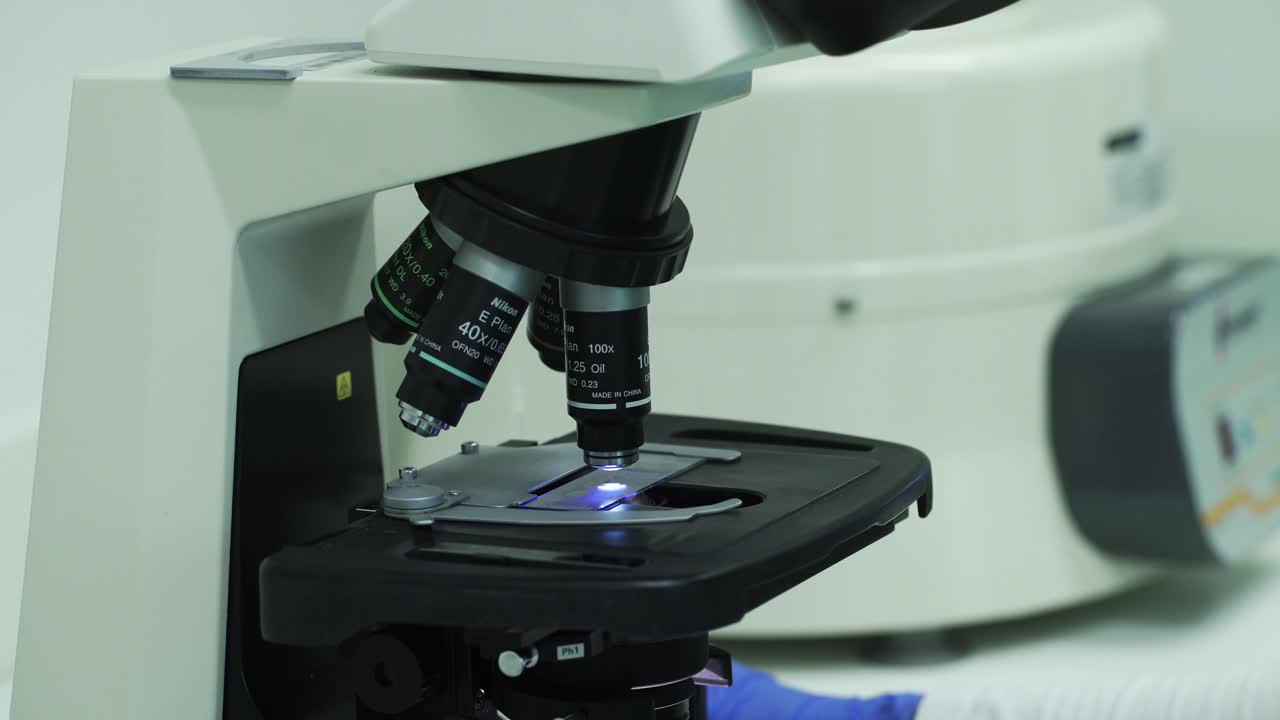 Close up pf hands in blue gloves seting up the microscope slide
