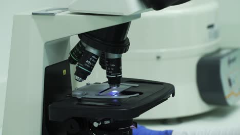 cerrar pf manos con guantes azules configurando el portaobjetos del microscopio