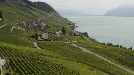 vuelo aéreo sobre viñedos hacia little winetown en lavaux, suiza