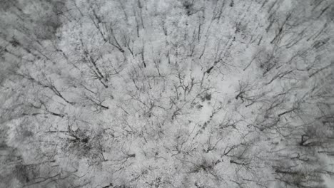 aerial-treetop-view-spin-near-boone-nc,-north-carolina