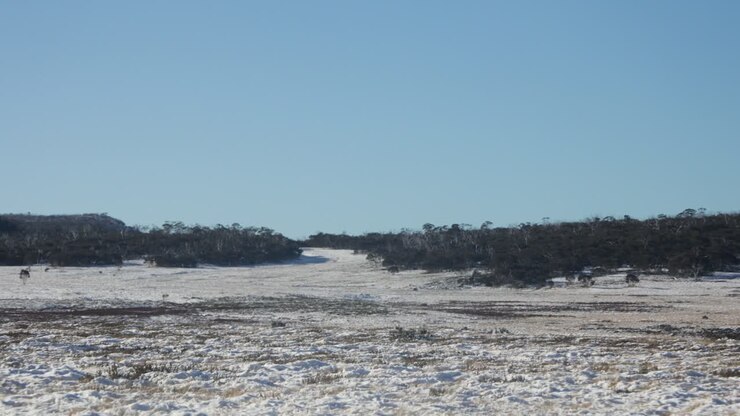 High country plains covered in snow in the Victorian high country