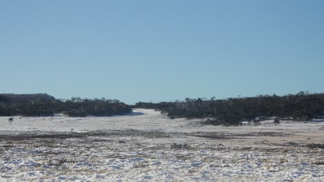 Llanuras-De-Las-Tierras-Altas-Cubiertas-De-Nieve-En-Las-Tierras-Altas-De-Victoria