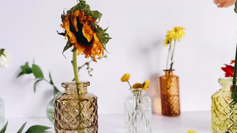 arrangement of dried and fresh flowers in vases