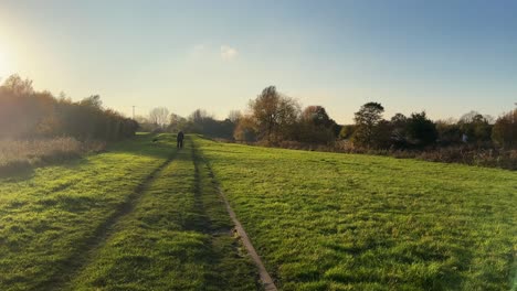 Elderly-gentleman-walking-his-dog-lake-in-the-day-along-a-grass-pathway