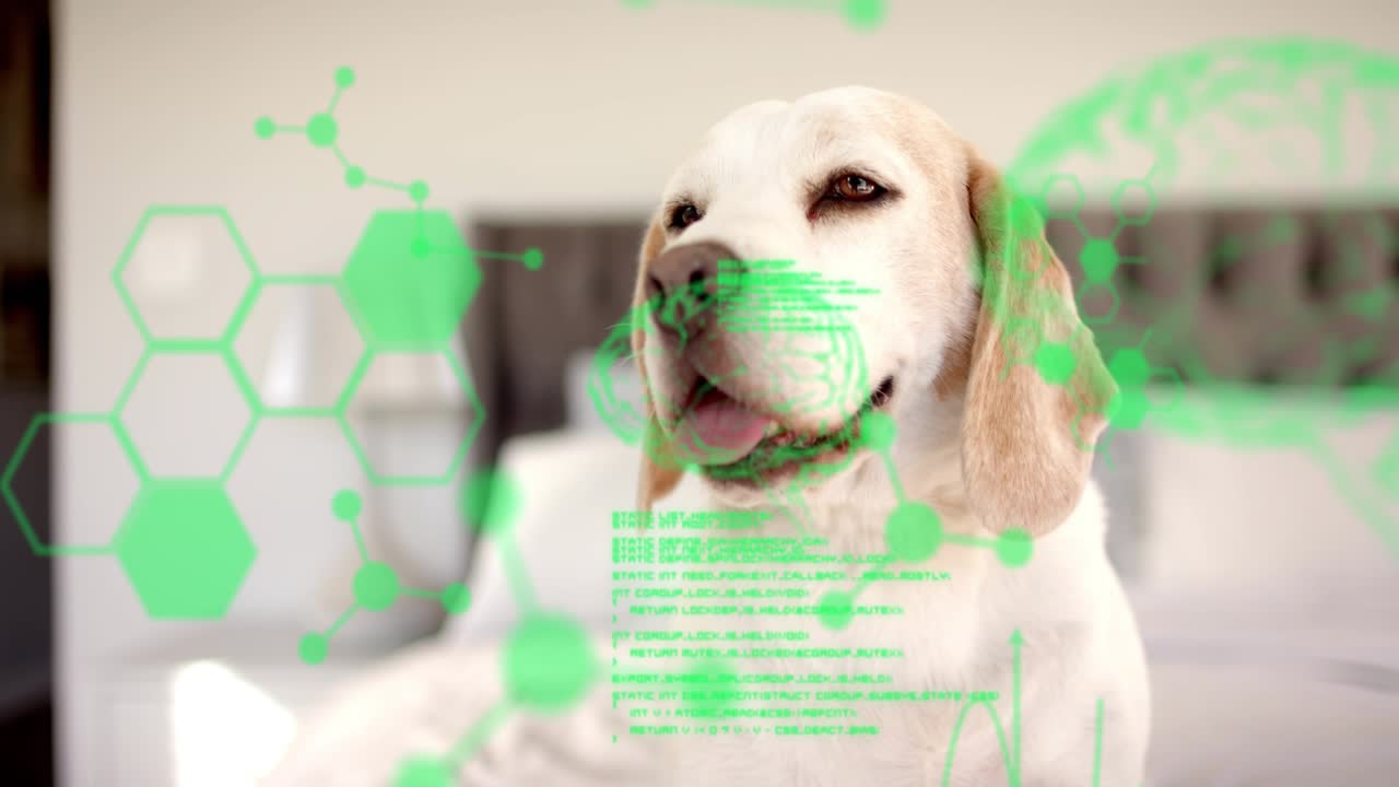 Neon HUD fading in, beagle-like dog lifting head, turning, panting while overlays scanning data