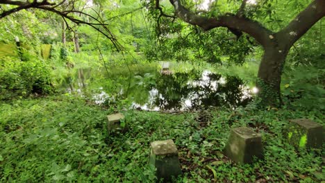 Forest-pond-lake-entry-with-seats-beautiful-walking-shot