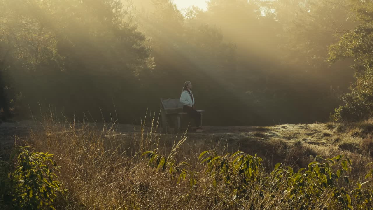 Woman sits on a bench as magical sun rays pierce through trees behind her. Peaceful forest scene with soft light, calm atmosphere, and reflective mood