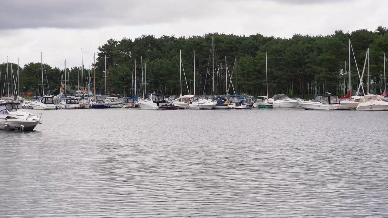 Wide shot of a tranquil marina with numerous sailboats and yachts moored along a wooded shoreline, overcast skies, gentle water ripples, and serene, soft natural light.