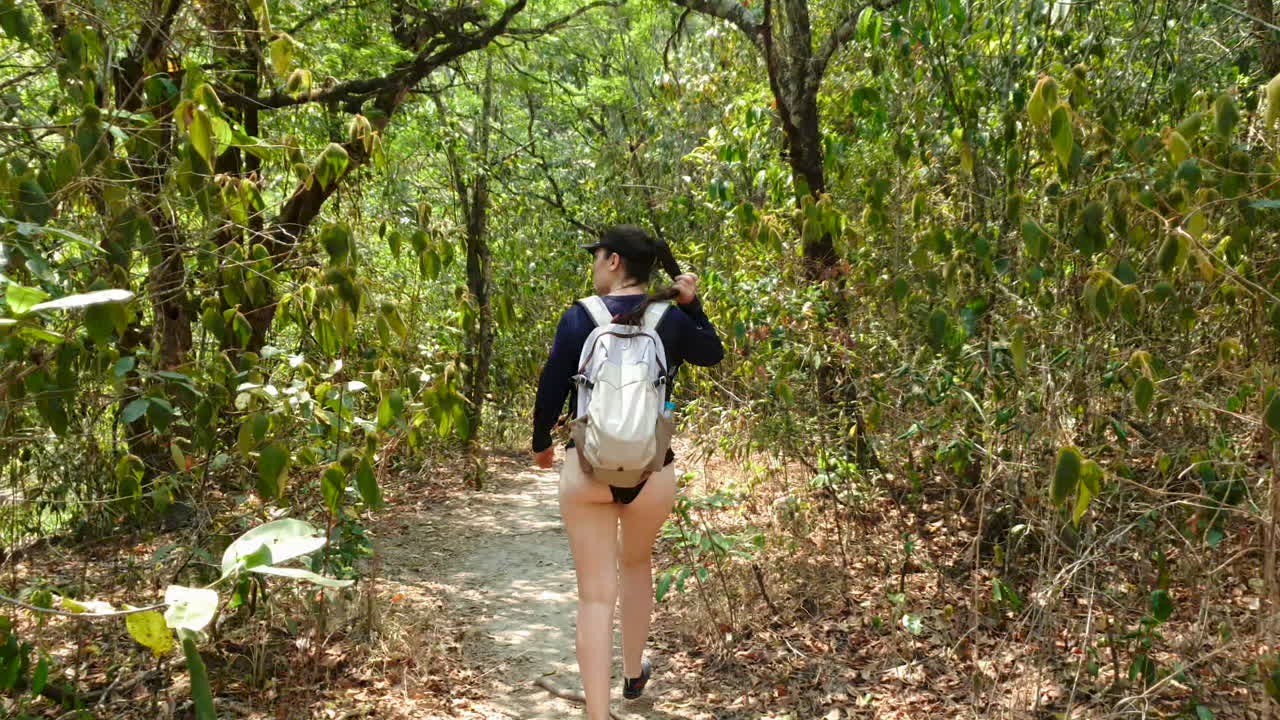 mujer hispana mochilera caminando por el bosque, siga el disparo desde atrás