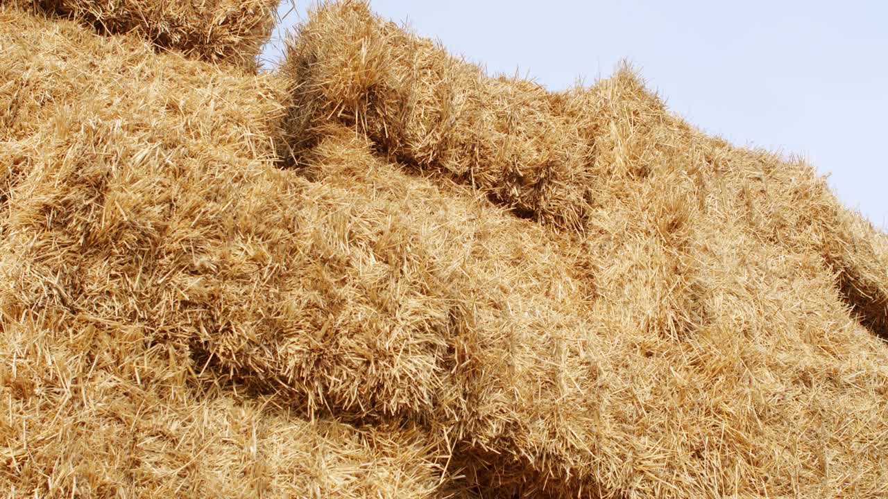 paralelepípedos de heno bien apilados el uno sobre el otro.