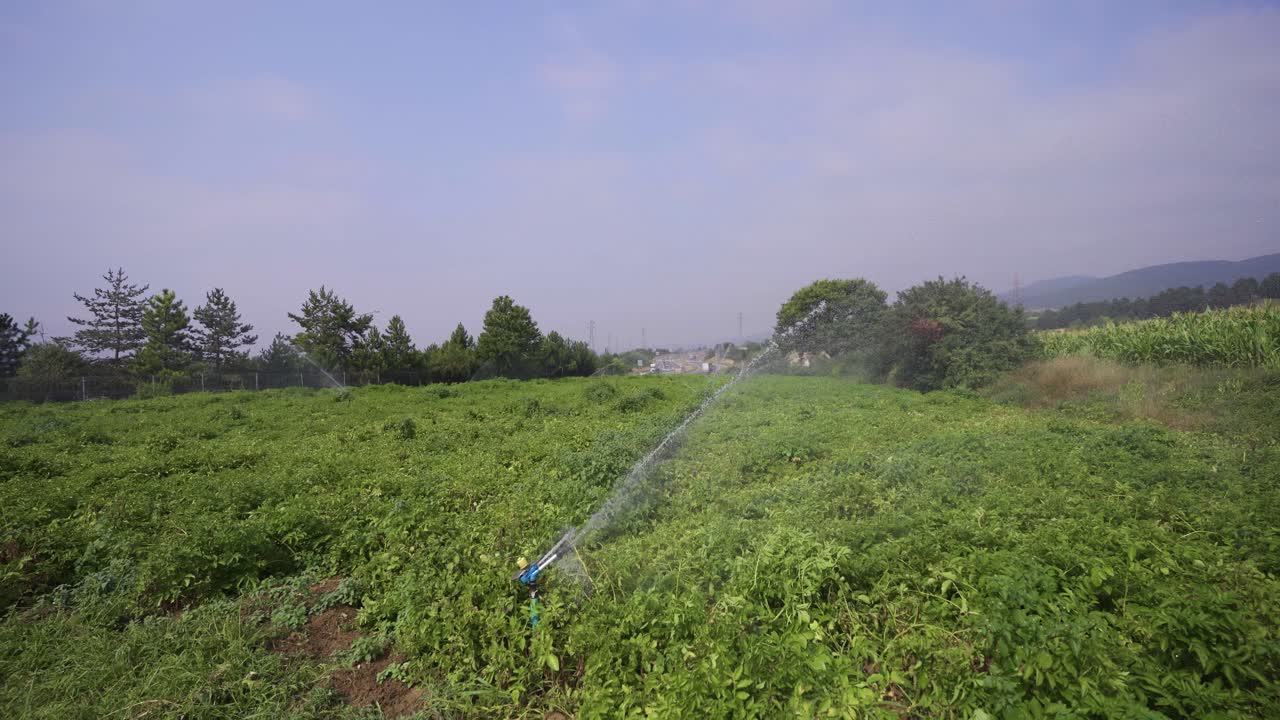 sistema de riego de campo.
