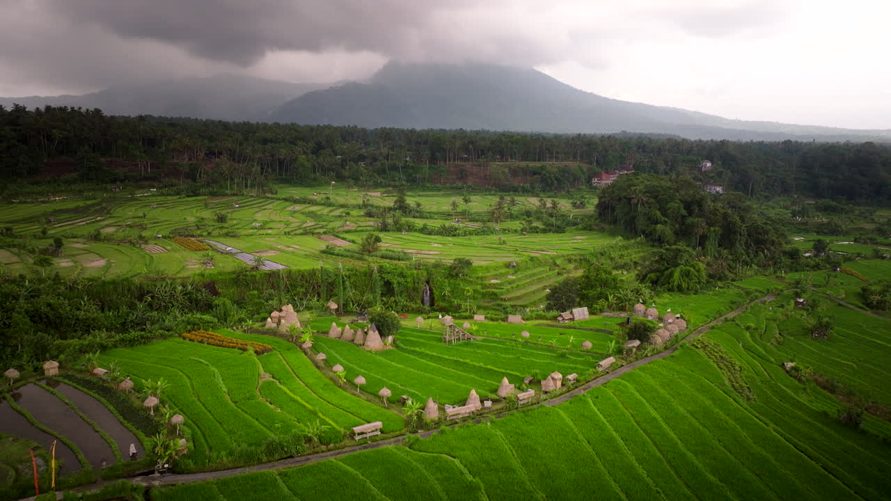tierras de cultivo pintorescas en bali, indonesia - fotografía aérea de un avión no tripulado