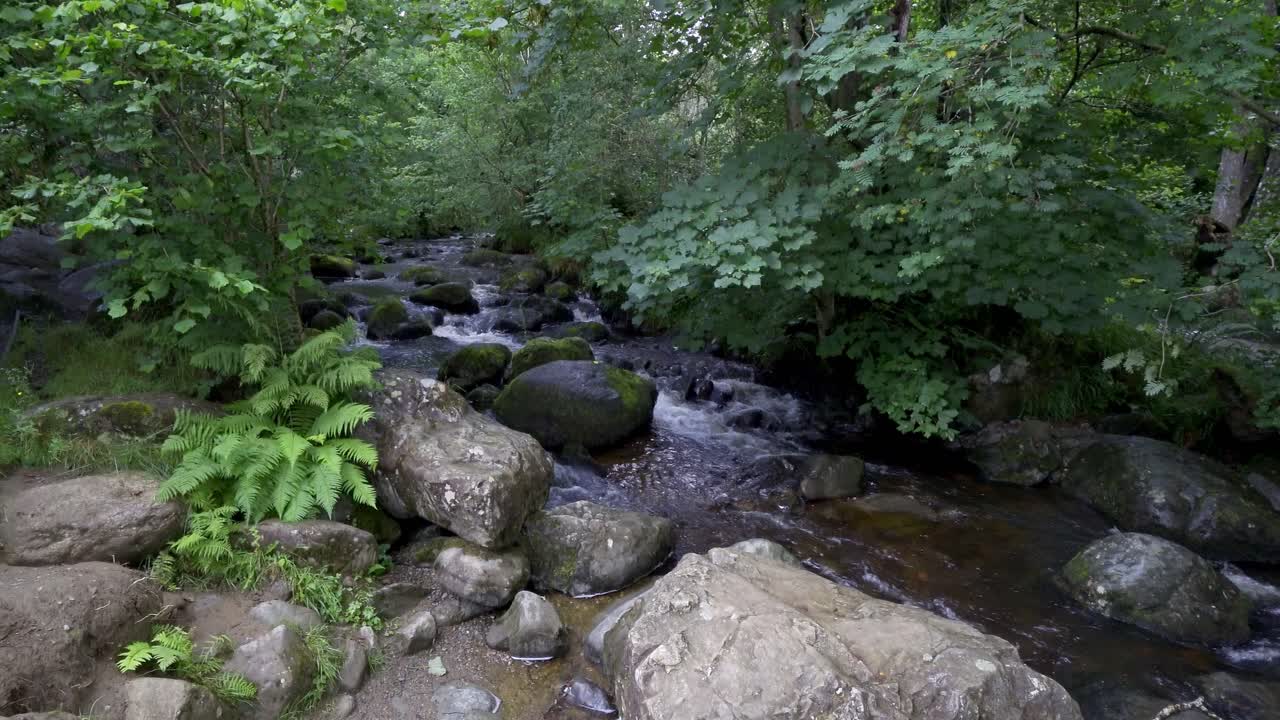 Naturskøn udsigt over en bæk eller flod i Lake District Nationalpark, Cumbria, England