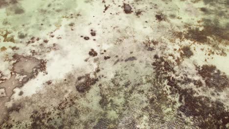 aerial tilt-up view over a boat in the clear waters of los roques' wetlands