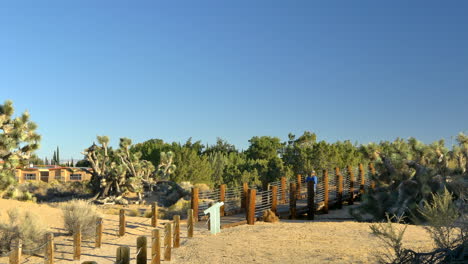 A-woman-on-a-morning-jog-in-the-distance-running-along-a-wooden-bridge-through-a-desert-nature-preserve